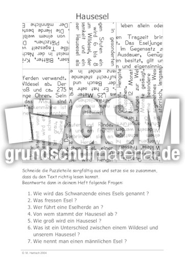 Hausesel.pdf